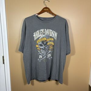 Vintage Harley Davidson T Shirt Gray Mens L Y2K Skulls Grunge Sunbury Ohio Eagle